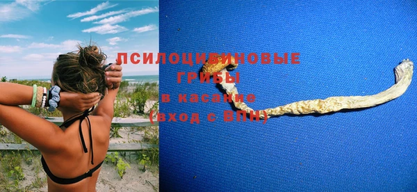 бошки Балахна