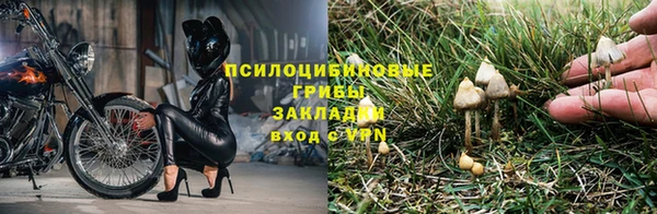 эйфоретик Баксан