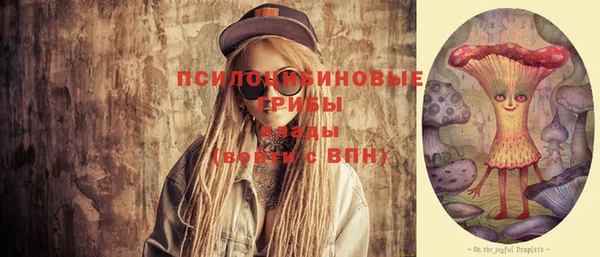 ПСИЛОЦИБИНОВЫЕ ГРИБЫ Белоозёрский