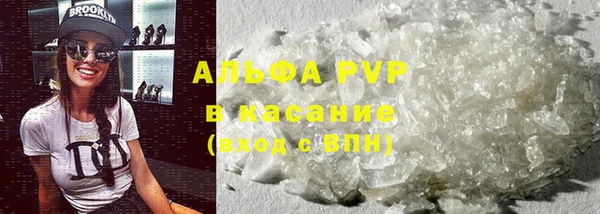 эйфоретик Баксан