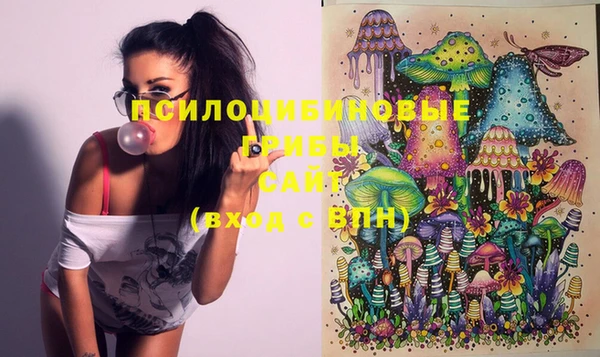 бошки Балахна